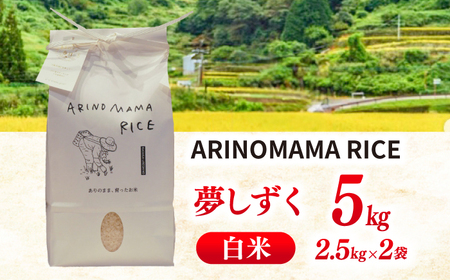 ARINOMAMA RICE 佐賀県嬉野市産 夢しずく 5kg(2.5kg×2)【ありのまま春日】[NCK003]