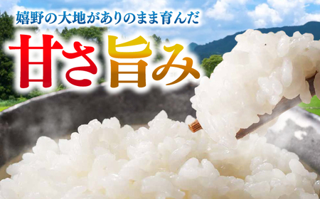 ARINOMAMA RICE 佐賀県嬉野市産 夢しずく 10kg(2.5kg×4)【ありのまま春日】[NCK004]