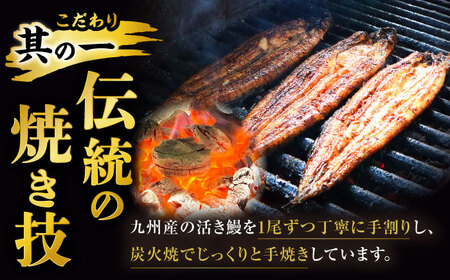 うなぎ 鰻蒲焼 4尾 【中野鮮魚店】 [NAI002] 鰻 うなぎ 鰻 鰻蒲焼 鰻蒲焼き 鰻 炭火焼鰻