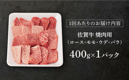 【先行予約】【12回定期便】佐賀牛 A5焼肉用総計4.8kg NAB031 定期便牛肉