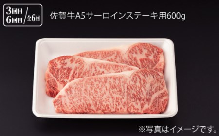 【先行予約】【6回定期便】佐賀牛 厳選部位堪能コース 総計3.6kg NAB075 牛肉 定期便