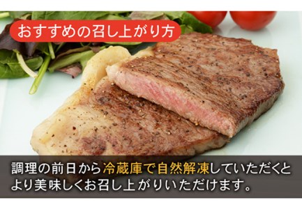 佐賀和牛 ロース 厚切り 切り落とし 600g (300g×2) 【一ノ瀬畜産】 [NAC012]  牛肉切り落とし 牛肉切り落とし 牛肉切り落とし 牛肉切り落とし 牛肉切り落とし