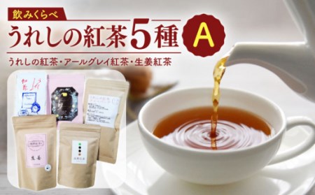 うれしの紅茶 5種 飲みくらべセット A【うれしの紅茶振興協議会】[NAP005]  紅茶 茶 お茶 佐賀 嬉野産紅茶 うれしの紅茶 紅茶 和紅茶 紅茶飲み比べ 和紅茶飲み比べ 紅茶ティーバック 紅茶セット 紅茶