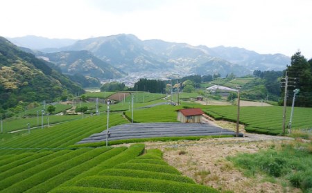 紅茶うれしの紅茶5種セットB NAP006