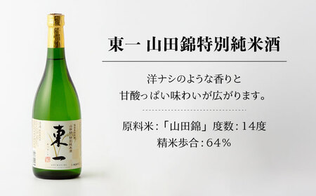 日本酒 東一 日本酒飲み比べ2種 NBQ002 