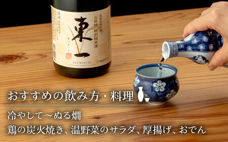 日本酒 東一 日本酒飲み比べ2種 NBQ002 