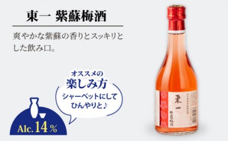 日本酒梅酒 東一 飲み比べ6種 NBQ009 