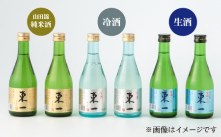 日本酒 東一 日本酒飲み比べ6本 NBQ010 