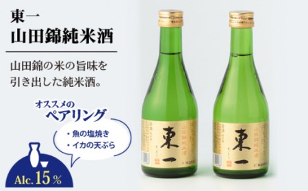 日本酒 東一 日本酒飲み比べ6本 NBQ010 