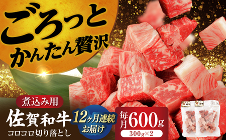 【12回定期便】牛肉切り落とし600g NAC109 牛肉定期便