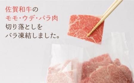 【12回定期便】牛肉切り落とし700g NAC118 牛肉定期便