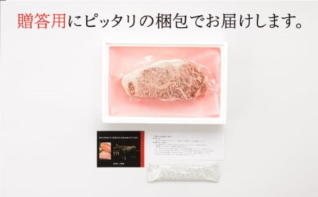 【6回定期便】牛肉ブロック1kg NAC132 牛肉定期便