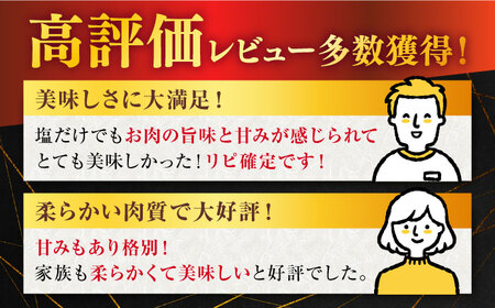 【先行予約】【3回定期便】佐賀牛 A5 焼肉用 総計2.4kg NAB229 牛肉 定期便