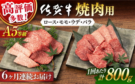 【先行予約】【6回定期便】佐賀牛 A5焼肉用 総計4.8kg NAB230 牛肉 定期便