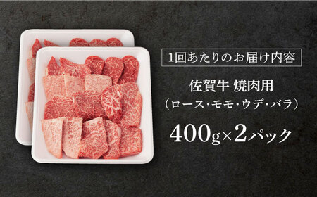 【先行予約】【12回定期便】佐賀牛 A5焼肉用総計9.6kg NAB231 定期便牛肉