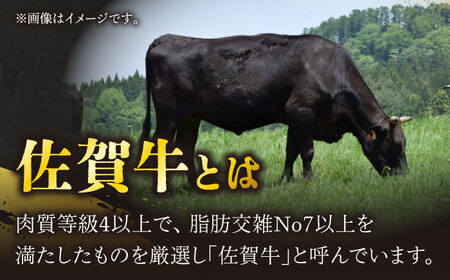 佐賀牛 ロースステーキ・サイコロステーキ セット 計500g【一ノ瀬畜産】 [NAC027] 牛肉ステーキ 牛肉ステーキ 牛肉ステーキ 牛肉ステーキ 牛肉ステーキ 牛肉ステーキ