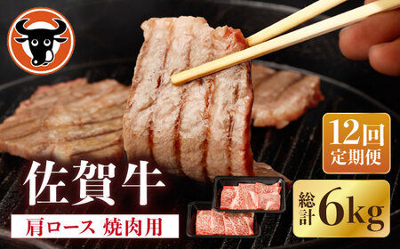【12回定期便】牛肉 肩ロース 焼肉用 計500g NAC154 牛肉 定期便