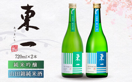 日本酒 東一 日本酒飲み比べ2種 NBQ022