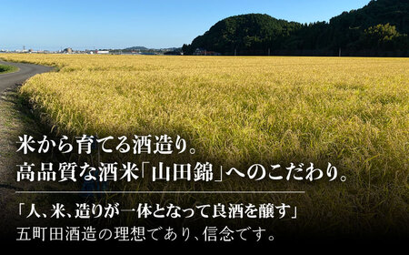 【12回定期便】日本酒 東一 純米大吟醸酒 NBQ103 日本酒定期便