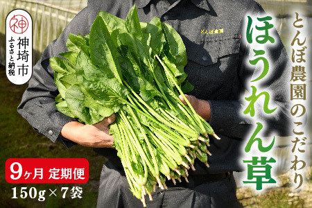 【定期便9回】ほうれん草 約1kg(150g x 7袋)【合計 約9kg】(H091121)