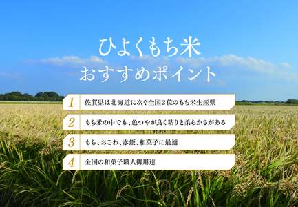 令和6年産 佐賀県産ひよくもち米5kg 【もち米 餅米 ヒヨクモチ 年末 餅つき 赤飯 おこわ おはぎ】(H015187)