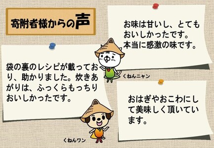 令和6年産 佐賀県産ひよくもち米5kg 【もち米 餅米 ヒヨクモチ 年末 餅つき 赤飯 おこわ おはぎ】(H015187)