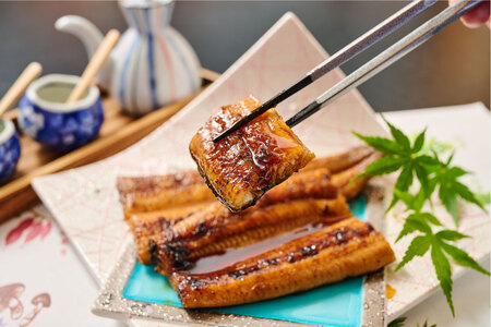 【職人手焼き】国産特大うなぎ蒲焼1尾(約170g前後)(H097112)