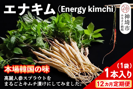 【12カ月定期便】一子相伝 秘伝のエナキム(高麗人参スプラウト・キムチ)1袋1本入(H104146)
