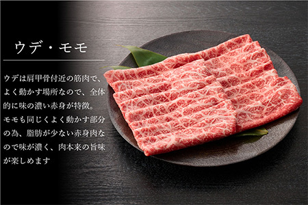 【3回定期便】佐賀牛特選食べ尽くし贅沢セット【佐賀牛 お肉 牛肉 すき焼き しゃぶしゃぶ ステーキ サーロイン】(H996P101)