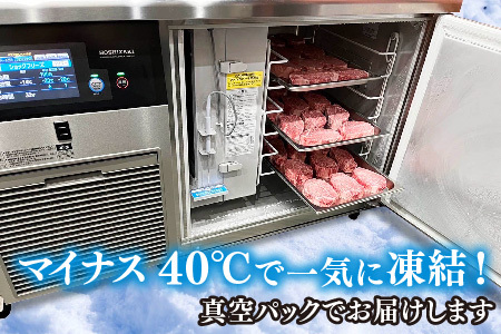 佐賀牛ヒレ(180g×6枚)【佐賀牛 ブランド牛 国産牛 フィレ お祝い ご褒美 真空パック ふるさと納税】(H107103)