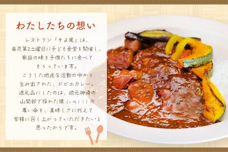 【猪骨スープ】まりこばあちゃんのこだわりジビエカレー2食分(H109101)