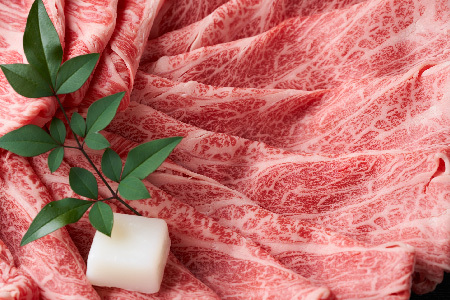 佐賀牛サーロインしゃぶしゃぶすき焼き用 600g(300g×2P)(H112115)