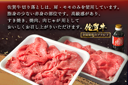 【佐賀牛】肩・もも切り落とし1kg(500g×2パック) 12カ月定期便(H065205)