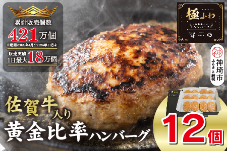 佐賀牛入りハンバーグ 120g×12個【佐賀牛 国産 冷凍】(H083104)