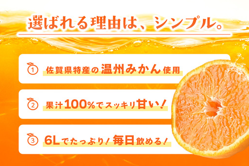 みかん100 1L×6本入り(H116228)