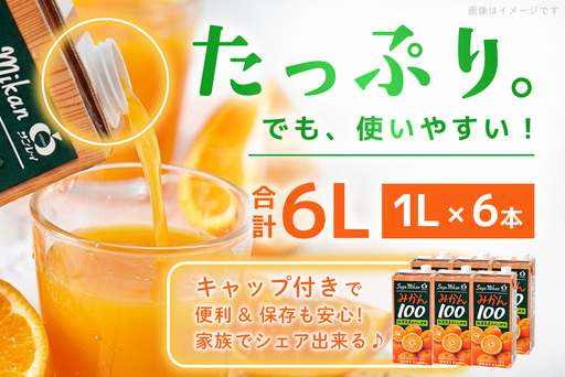 みかん100 1L×6本入り(H116228)