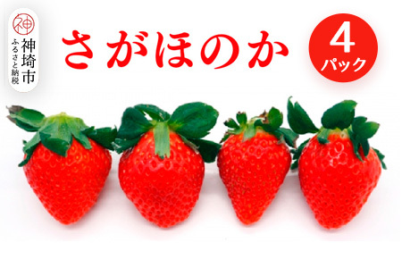 【2026年1月中旬より発送開始】さがほのか4パック(H116134)