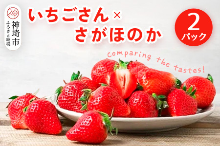 【2026年1月中旬 発送開始】いちご食べ比べ 2パック(いちごさん・さがほのか)(H116135)