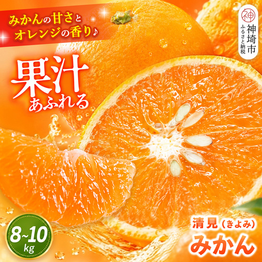 【2026年3月中旬より発送開始】清見(きよみ)みかん 8kg～10kg(H116139)