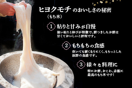 【令和7年産 新米】ヒヨクモチ米 9kg(4.5kg×2袋)【佐賀県神埼産 もち米 白米 もちもち 餅 もち ふるさと納税】(H063153)