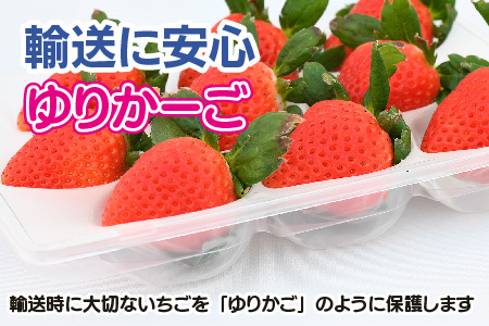 【農家直送】さがほのか220g×4パック(H117102)