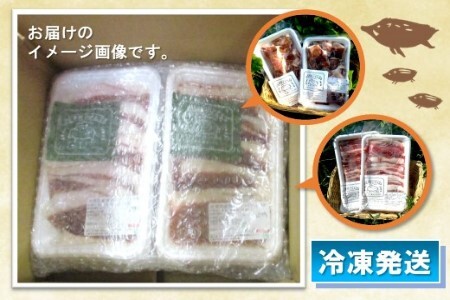 脊振ジビエ イノシシ肉バラエティセット 約1.4kg (H044107)