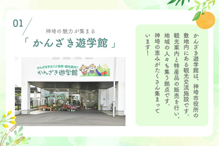 せふり柚子胡椒味くらべ＋半生うどんセット(H059123)