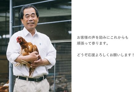 平飼い 有精卵 えごまたまご 40個入り H 佐賀県神埼市 ふるさと納税サイト ふるなび