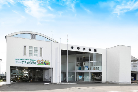 脊振ジビエ 鍋物・カレー用イノシシ肉 約1kg (H059120)