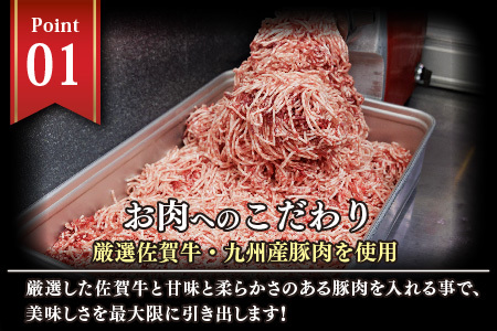 佐賀牛がばいうまかハンバーグ(100g×9個+150g×6個)(H118103)