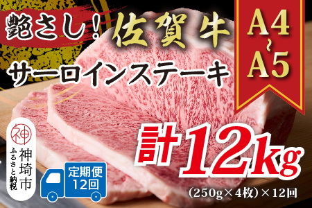 【12か月定期便】【A4～A5】佐賀牛サーロインステーキ 計1kg×12回(H112198)
