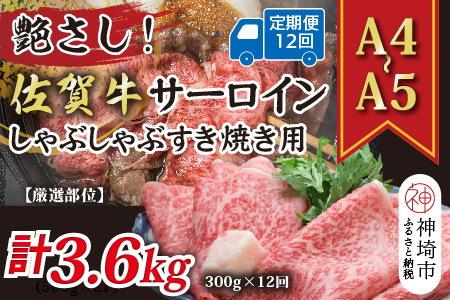 【12か月定期便】【厳選部位】【A4～A5】佐賀牛サーロイン 300g×12回(H112201)