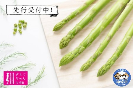 朝採りアスパラ定期便1kg×6回 (H013103)