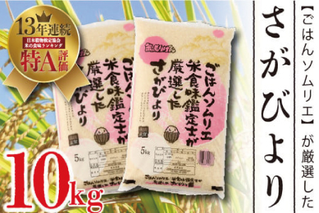ごはんソムリエ 米 食味鑑定士が選んだ さがびより10kg H063103 佐賀県神埼市 ふるさと納税サイト ふるなび